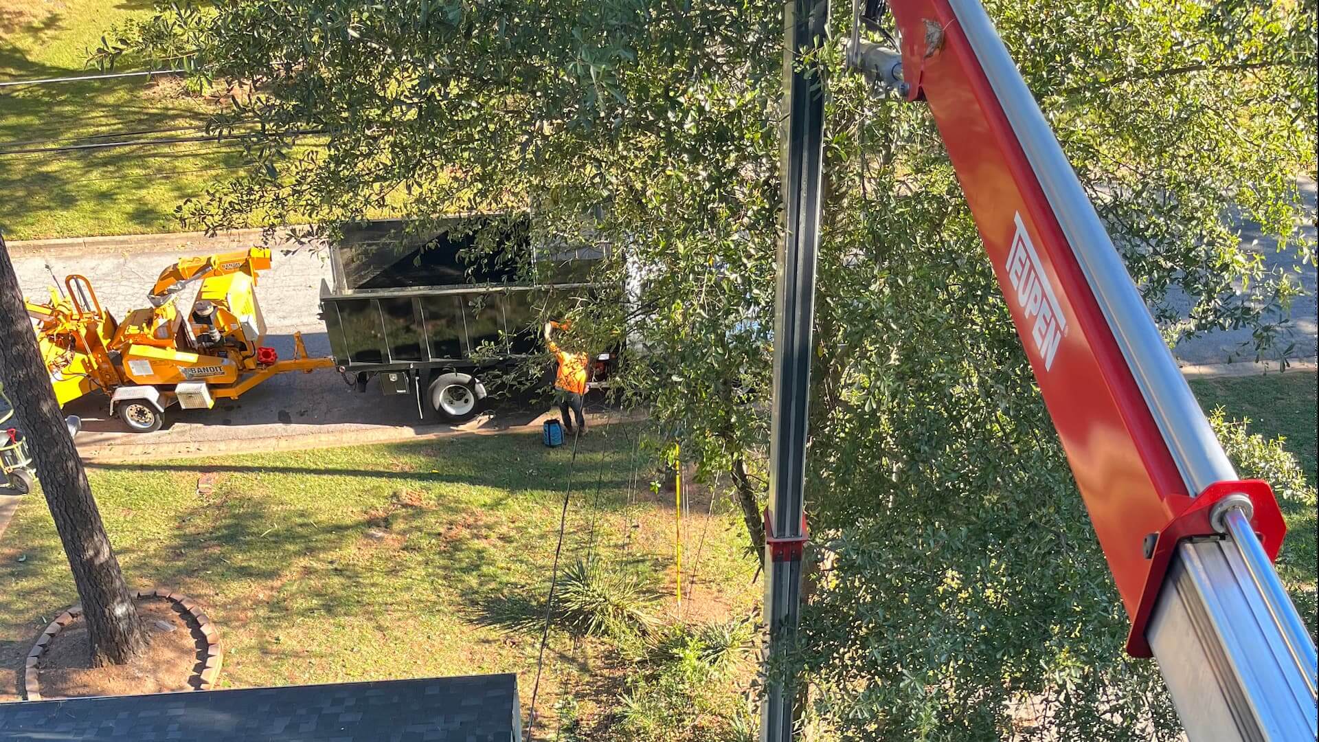 Trusted Large tree removal in Gordon Acres