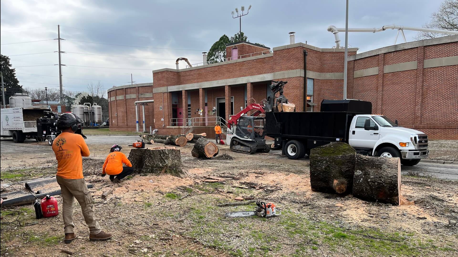 tree removal in front of a building