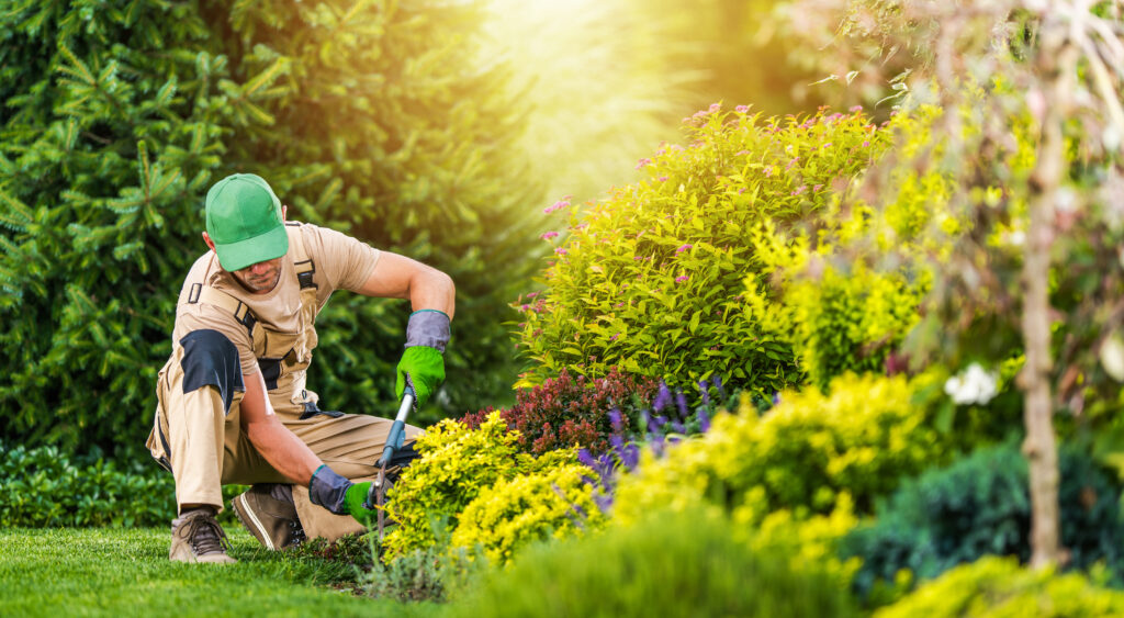 Landscaping