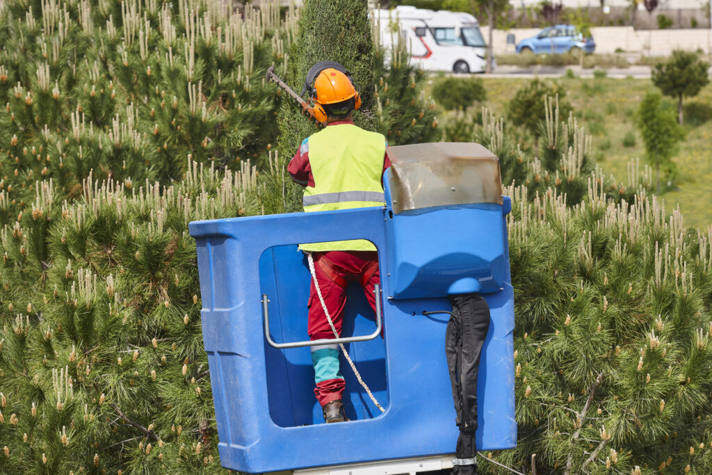 Regular-Tree-Trimming