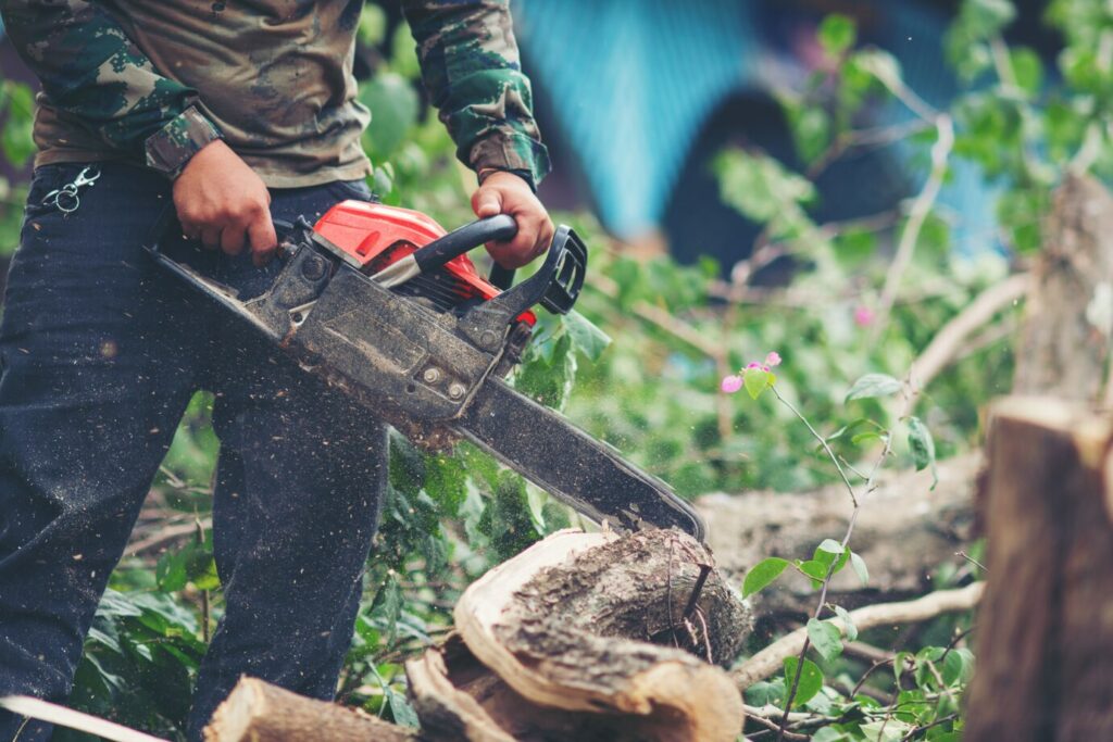 Tree Trimming