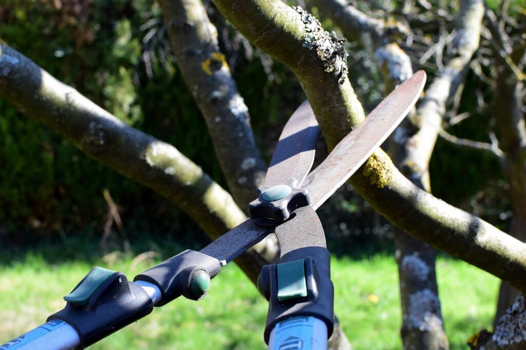 tree trimming