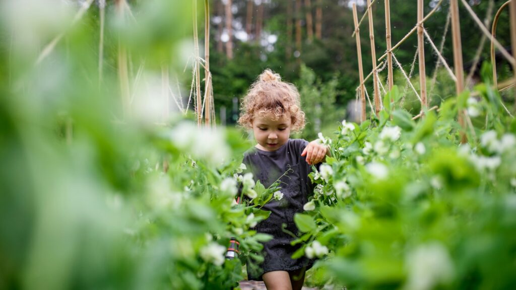 child-friendly landscape